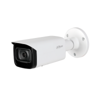 DAHUA DH-IPC-HFW2231TP-AS-0800B IP-камера