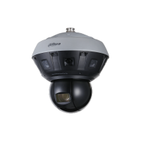 DAHUA DH-PSDW83242M-A360-D845L-S3 IP-камера